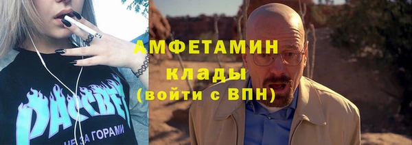 мет Алексин