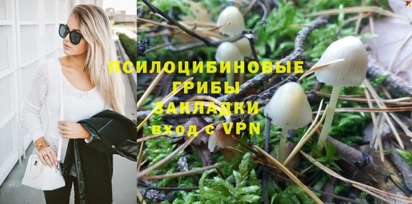 мет Алексин