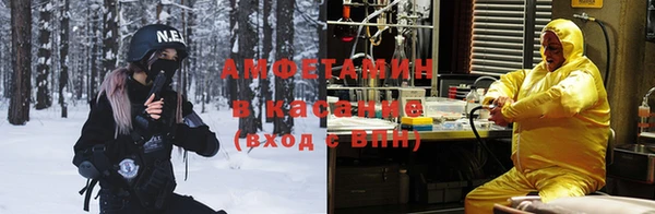 мет Алексин