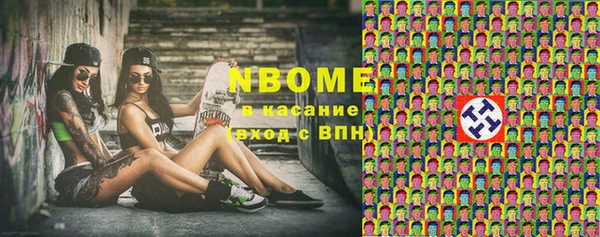 мет Алексин