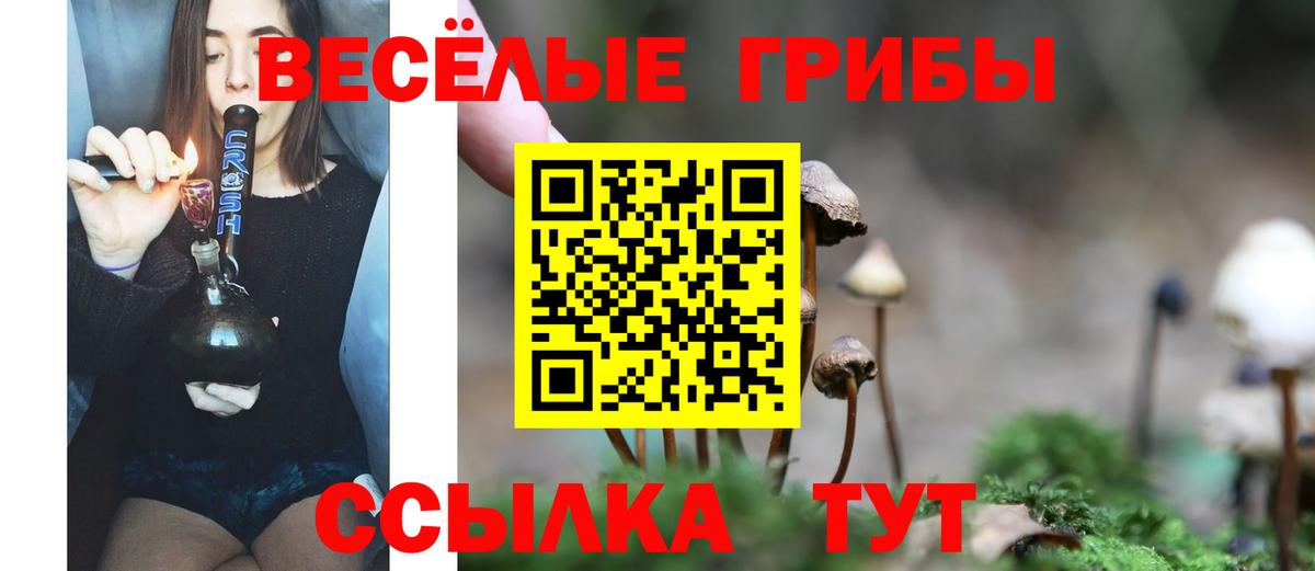 Псилоцибиновые грибы GOLDEN TEACHER Апшеронск