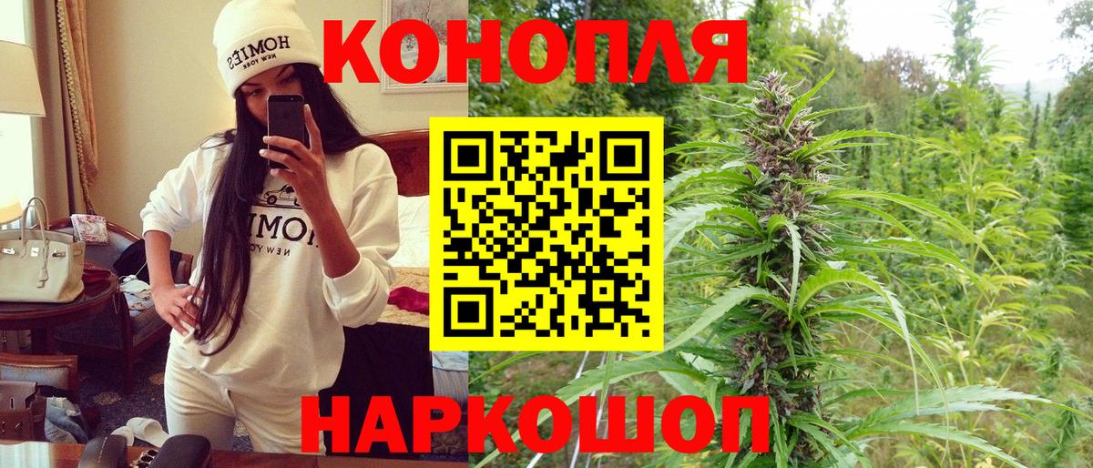 Конопля конопля Апшеронск